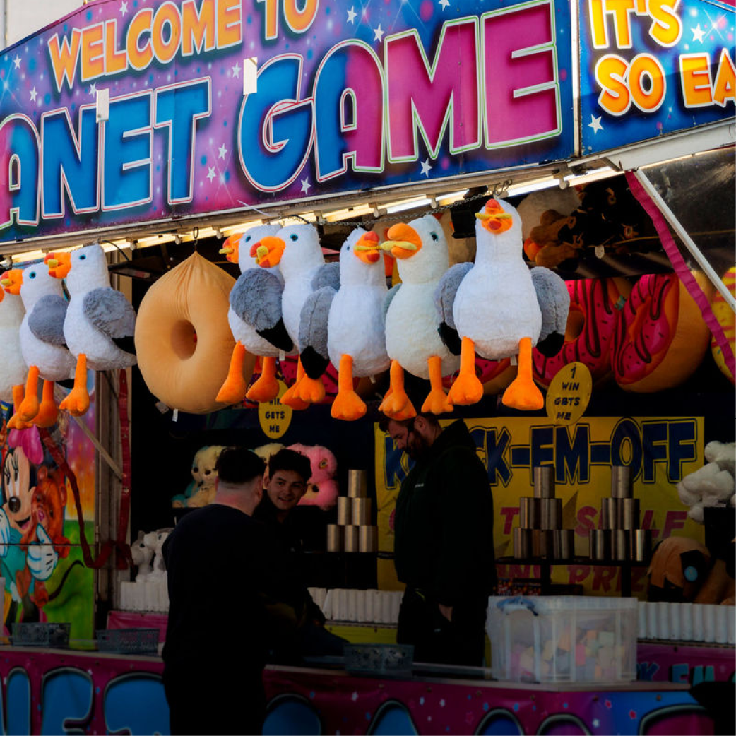 CEF Website Squares16